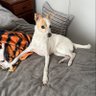 Jp profil fotoğrafı