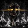 Crypto🔥Patriot profil fotoğrafı