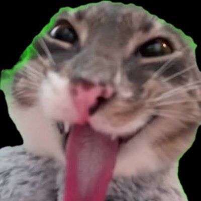 lotofmoneyyy's profile picture