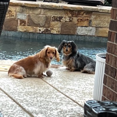 cooperfnbr's profile picture