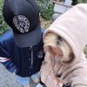 巴衛 🦊's profile picture