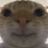 jhao lee's profile picture