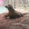 Fat profil fotoğrafı