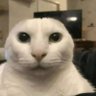 あるみちゃん最強最強なんよ✌ profil fotoğrafı