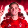 Forest Are Magic's profile picture