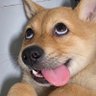 派大星's profile picture