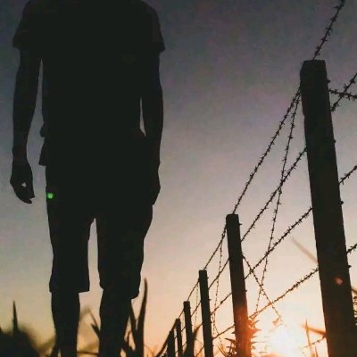 Solekhan's profile picture