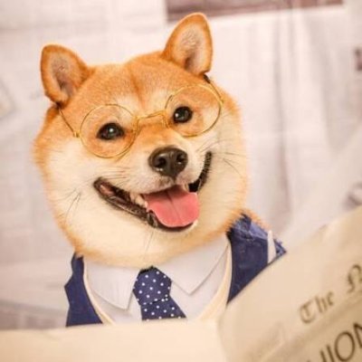 xingzhanAI's profile picture