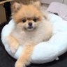 Фото профиля 令和の3資産@都心不動産/GOLD/BTCしんのすけ🙌✨💎