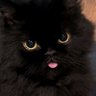 ๐
ผ๐ค's profile picture