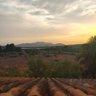 The Cuellar's trail 的头像