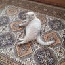 algı profil fotoğrafı