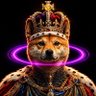 Фото профиля 𝐓𝐎𝐏 𝐃𝐎𝐆𝐄