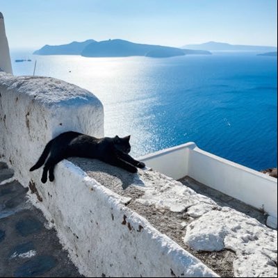 yiymggvn's profile picture