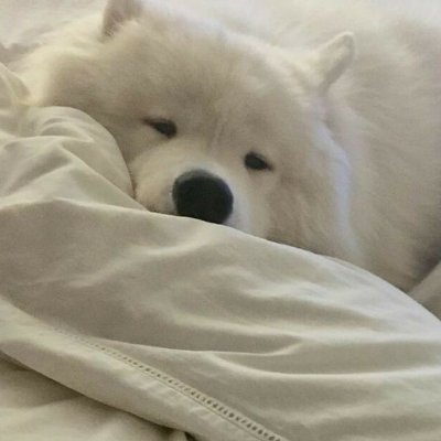 ★їзᴇɢᴇɴ⋆.☘︎ ݁˖'s profile picture
