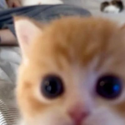 Hatasız Audi's profile picture