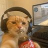 Profilbild von مـM