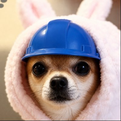 왈왈 🆅's profile picture