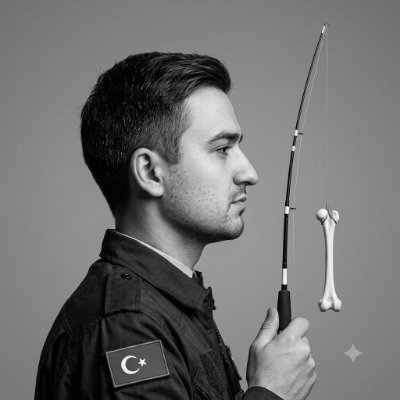 Mehmet çiçek's profile picture