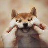 Profilbild von 林