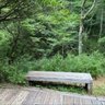 ぴょん 的头像