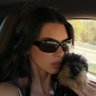 KK's profile picture
