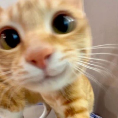 b.'s profile picture