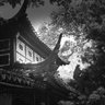 Фото профиля Bo Wang
