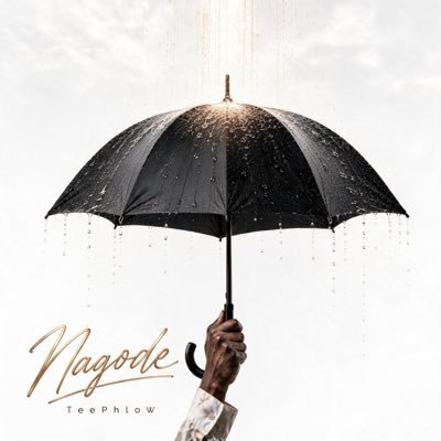 TeePhlowGH's profile picture