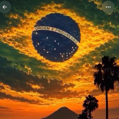 osoldaliberdade's profile picture