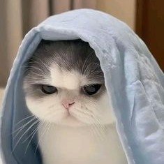 ขอฟอ 🌾♐️'s profile picture