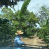 César para los amigos.'s profile picture