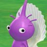hallo 🦭's profile picture