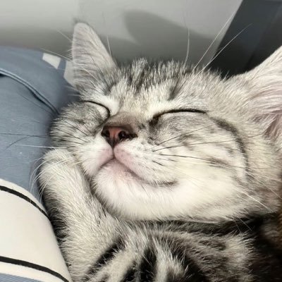 no_more_eden's profile picture