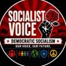 Socialist Voice's profile picture