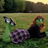 Pepita 💖🇦🇩🐸💃🍒♱❤️‍🔥☕ 💙🐞💝💜💘🧡💛🩷♥️❣️💗💓's profile picture