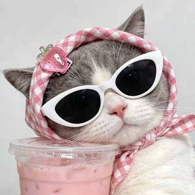 ATE MING's profile picture