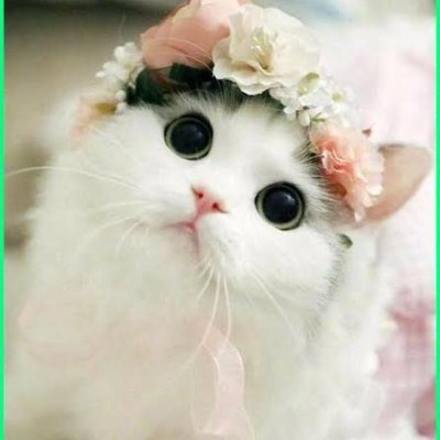 hbktdk's profile picture