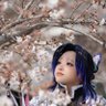 Profilbild von ゆら丸✞✟10月福岡ひぐらし併せ