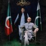 Ali Raza's profile picture