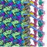 a computer biologist profil fotoğrafı