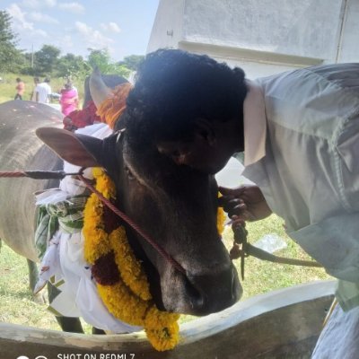selva65898's profile picture