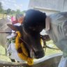 செல்வப்பாண்டியன் 的头像