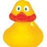 DuckDuck profil fotoğrafı