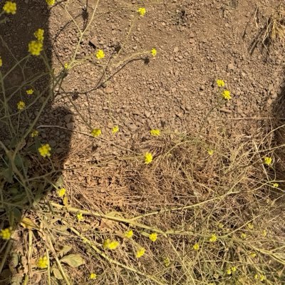 Beria_Jaan's profile picture