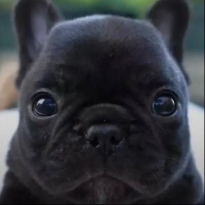 ben's profile picture