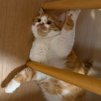 Sleeeeepy 🥱's profile picture