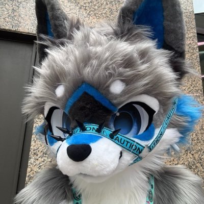 Sterling_Floof's profile picture