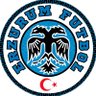 Erzurum Futbol's profile picture