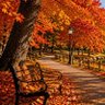 AutumnDave 的头像